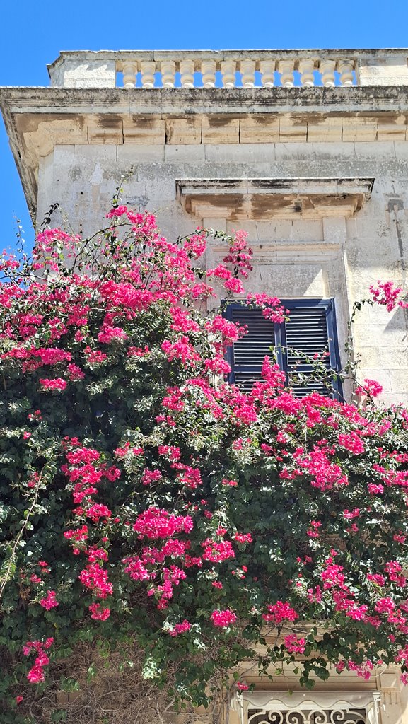 20250917 132304 (Copy)